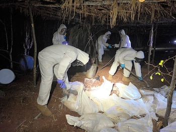 Fotografía cedida este martes, cortesía