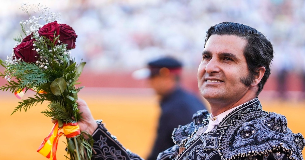 MORANTE GRAVE: Cornada en La Maestranza