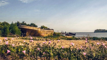 "El Néstor" llama la atención