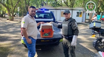 Seis campañas de prevención alcanzaron a 146 residentes, promoviendo la denuncia del microtráfico y el cuidado de los recursos naturales - crédito Policía Antioquia