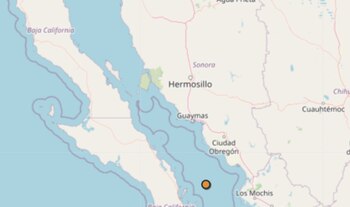 (Captura de pantalla SSN)