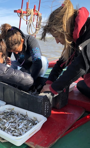 La científica del Conicet Ana