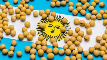 Las cadenas agrícolas argentinas bajo