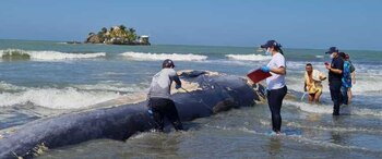 Autoridades determinan la muerte de