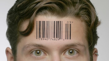 Para tener éxito con la IA, tiene que dominar lo básico