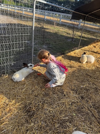 pampita ana garcía moritán