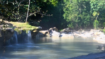 Científicos descubren sorprendente variedad de fauna en el río Hirviente de Huánuco