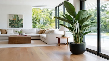 PLANTAS LIVING DECO