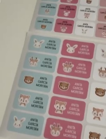 Pampita compartió las etiquetas escolares de Anita García Moritán en la previa a comenzar el jardín (Instagram)