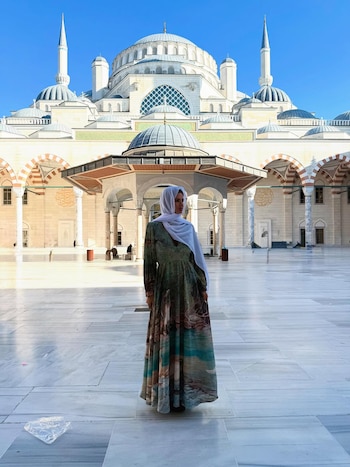 Suárez mostró detalles de la