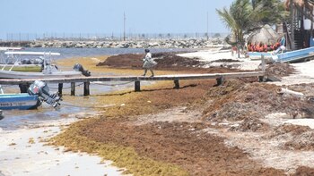 En Felipe Carrillo Puerto, en