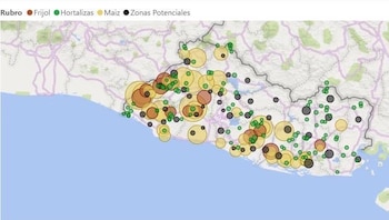 El Salvador alcanzó 3.600 manzanas de hortalizas bajo riego y 1.522 estructuras protegidas, según el viceministro de Agricultura Óscar Domínguez. (Cortesía: Óscar Domínguez)