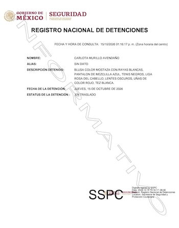 Capturan en Sinaloa a cuatro familiares de "Carlitos Rugrats", operador criminal ligado a "Los Mayos". Captura de pantalla.