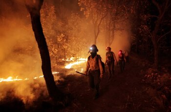 Bosque-La-Primavera-Jalisco-Mexico-incendio-forestal