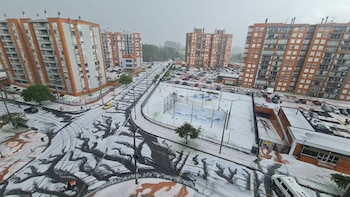 Internautas captaron imágenes de la