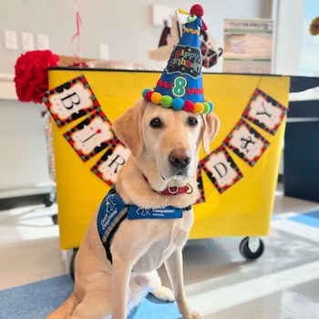 Dexter disfrutó de su día