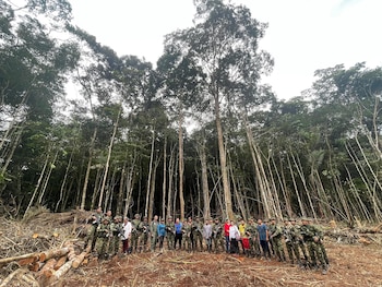 Más de 350 militares y 70 indígenas participaron en la búsqueda de los hermanos Mucutuy con apoyo de mapas, brújulas y saberes ancestrales - crédito @PedroSanchezCol / X