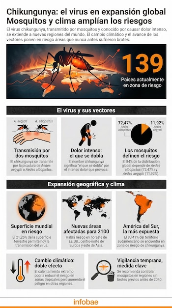 Infografía de Chikungunya. Muestra un mosquito grande sobre un globo terrestre con zonas en riesgo, gráficos de transmisión y datos de impacto climático.