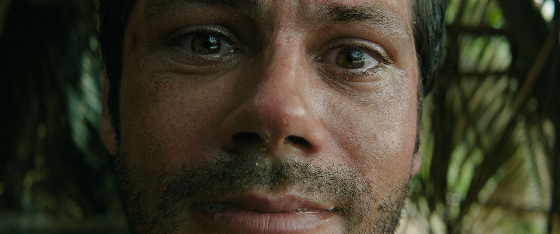 ‘Send Help’, cuyo estreno está previsto para el 30 de enero, explora la supervivencia tras un accidente aéreo y cambios en las relaciones de poder (20th Century Studios)