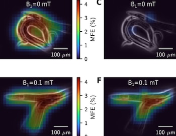 El mecanismo de MagLOV aprovecha
