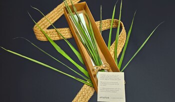 La agencia promueve “viajar con