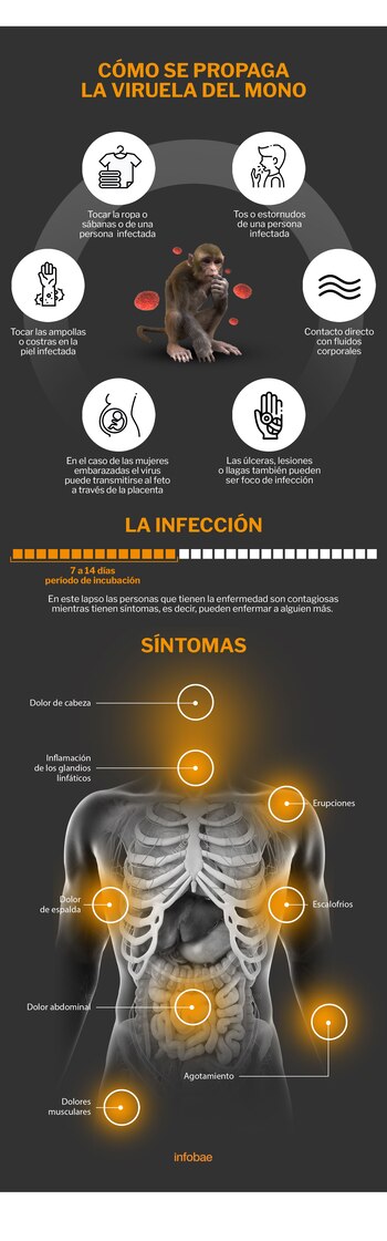 Propagación del virus (Foto: Infobae/Especial)