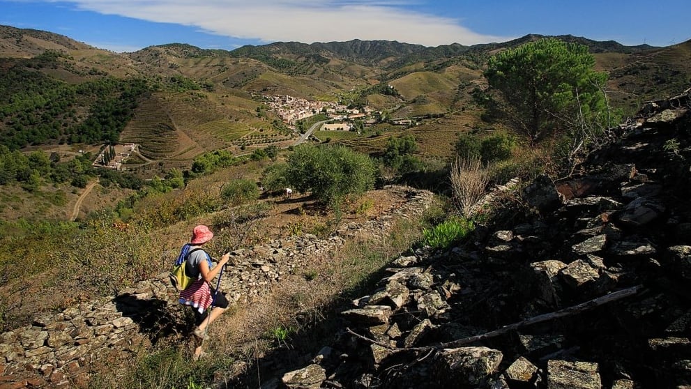 El camino del vino de Porrera, en Tarragona, en la comarca del Priorat. / Turismo Priorat