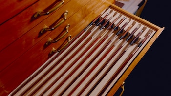 La madera empleada para instrumentos musicales podría volverse ilegal