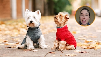 María, veterinaria: “Si tu perro