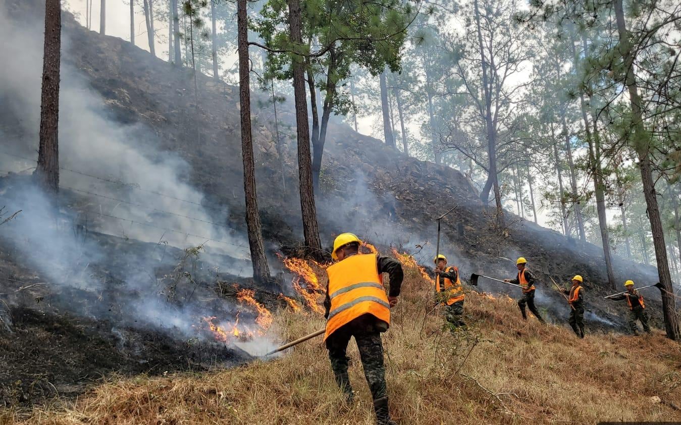 Las altas temperaturas, los vientos y la sequedad de la vegetación aumentan el riesgo de incendios forestales en la región. - crédito Cuerpo de bomberos