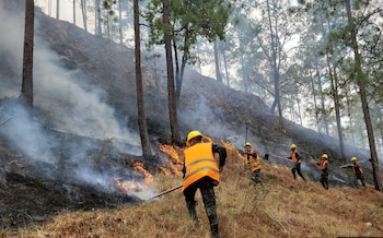 Comunidades cercanas, fuerzas armadas y el Instituto de Conservación Forestal de Honduras unen esfuerzos para controlar las llamas en Celaque.