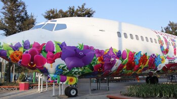 Con avión-biblioteca buscan bajar la