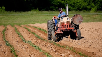 El Gobierno activa los seguros agrarios combinados: qué son y cómo benefician al campo español