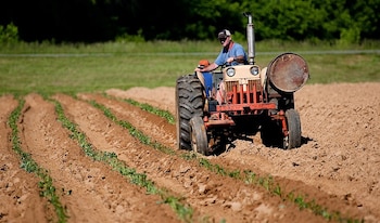 Un agricultor en su tractor