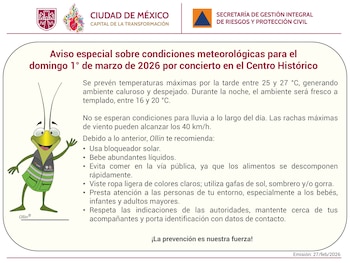 Recomendaciones a seguir por el