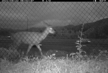 Un proyecto de USD 100