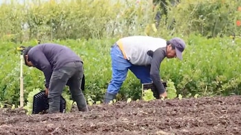 Rodrigo Chaves anuncia inversiones en riego, innovación y producción agrícola en su última gira por la provincia de Cartago