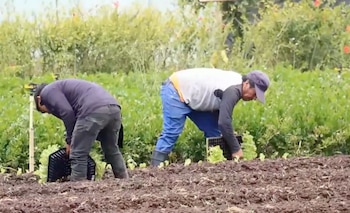 Las inversiones anunciadas superan los ₡800 millones y están dirigidas a fortalecer el desarrollo rural. Cortesía: Captura video redes sociales Presidencia de la República