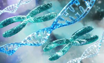 El enfoque en la prevención genética enfrenta desafíos, ya que muchas personas no conocen la posibilidad de acceder a estudios moleculares que identifican mutaciones genéticas con alto riesgo de cáncer, haciendo crucial la difusión de información