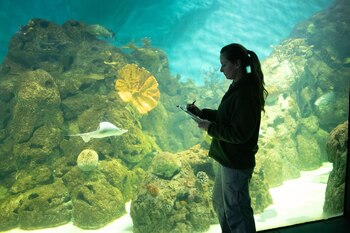 La concientización es de suma