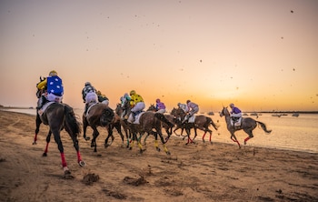 Una de las carreras de caballo de Sanlúcar de Barrameda