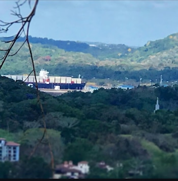 Parte de la investigación en tierra se realizó en el Parque Natural Metropolitano, un bosque tropical protegido ubicado dentro de la Ciudad de Panamá, una de las pocas capitales del mundo que cuenta con un parque natural a pocos minutos de su centro urbano. Tomada de Instagram