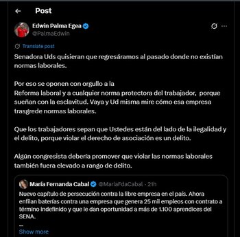 Edwin Palma ministro de Minas