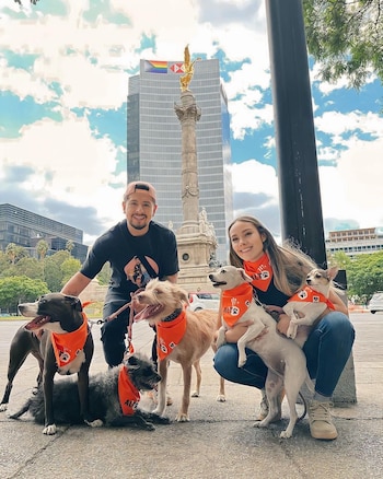 Callejeros FC, el equipo que cambia vidas con sus goles y sus acciones por los animales (Instagram Mafershof/Paquideus)