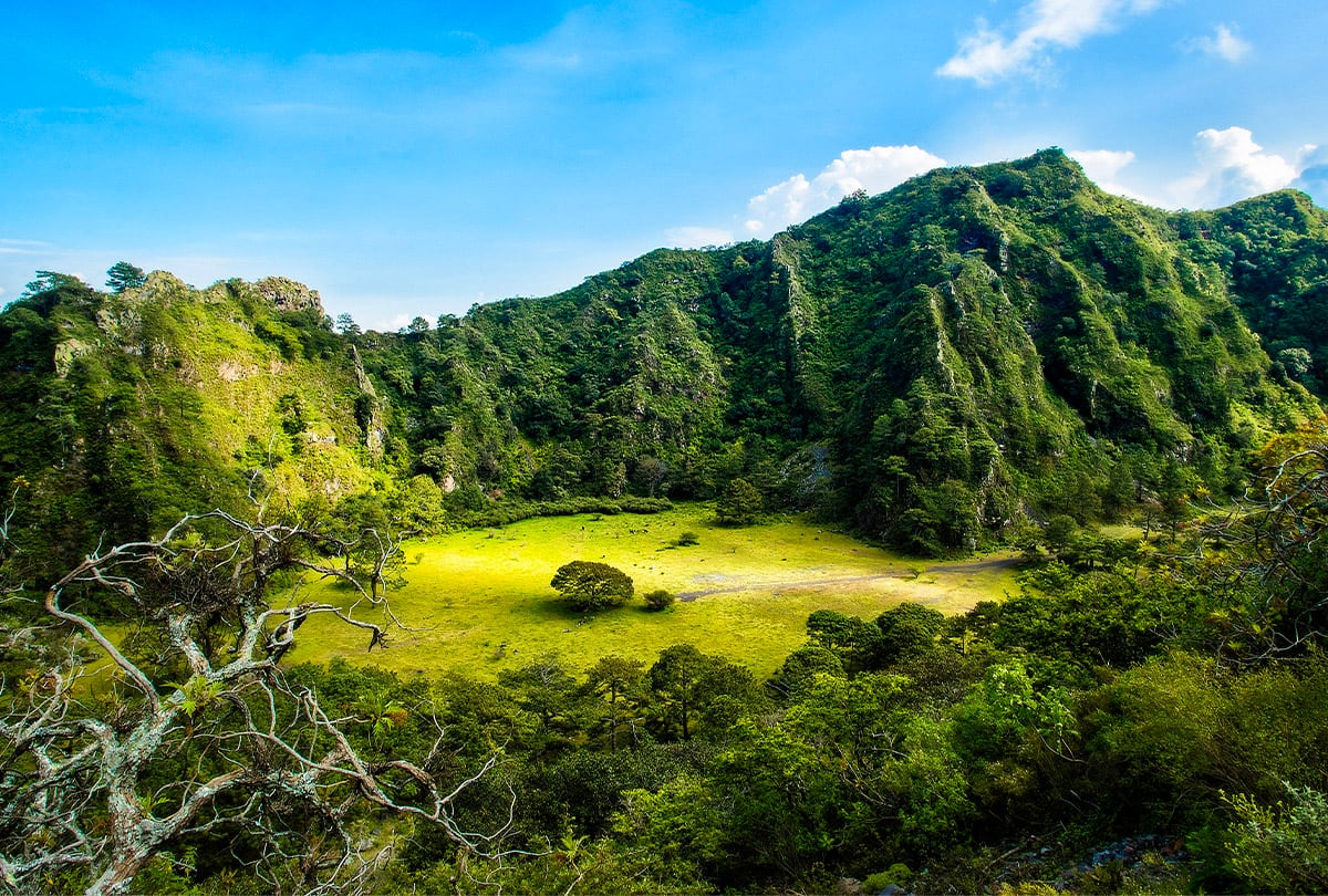 Es el principal atractivo de aventura del destino y el responsable geológico de los elotes. Los recorridos al cráter se realizan con guías locales y combinan senderismo con fotografía de paisaje volcánico. (Visit Nayarit/Gobierno de México)