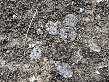 Este hallazgo es el más