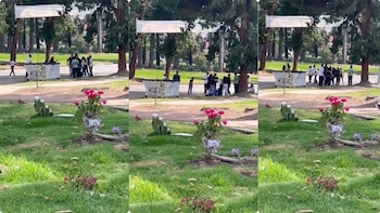 Ni a los muertos dejan descansar, captan pelea en cementerio del sur de Bogotá: “¿y la seguridad del cementerio?”