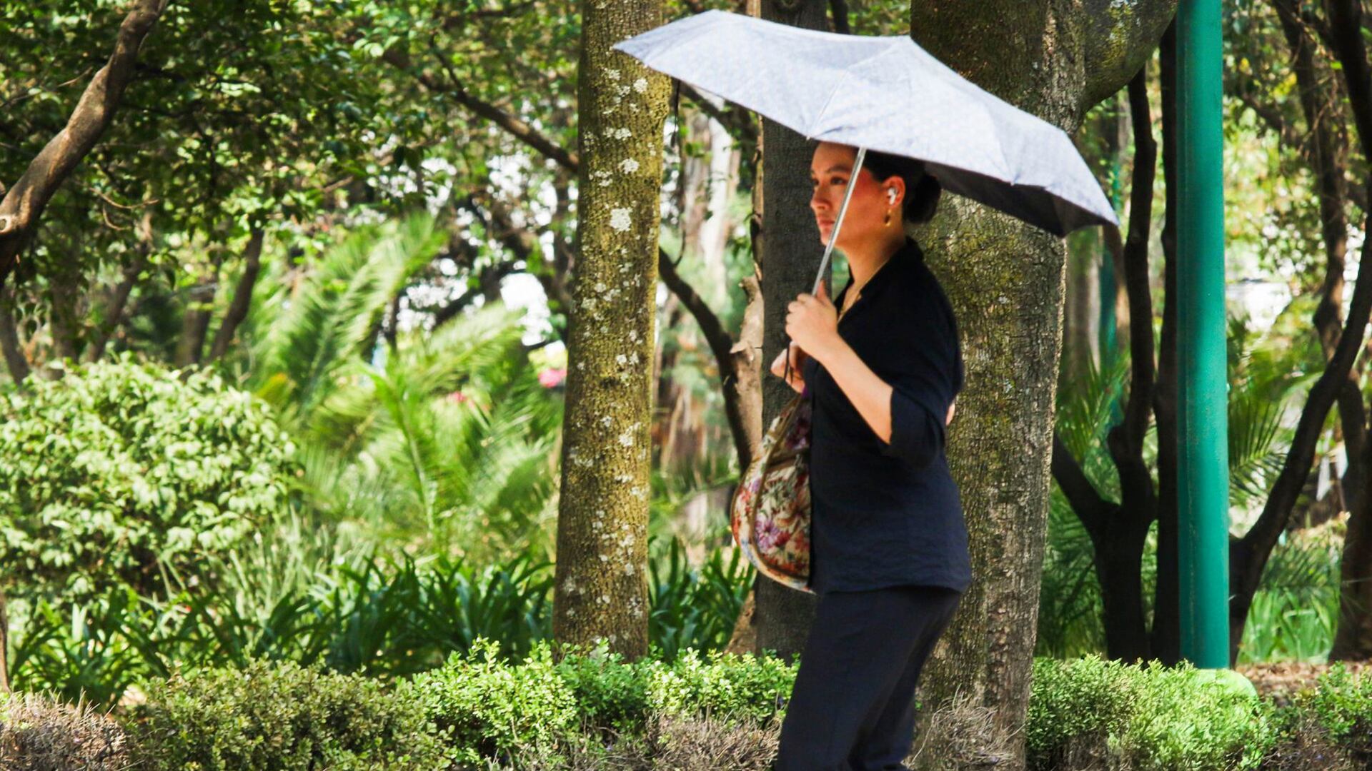 Estas 13 alcaldías de la Ciudad de México registran altas temperaturas para este viernes 16 de mayo. Crédito: Cuartoscuro/Victoria Valtierra Ruvalcaba