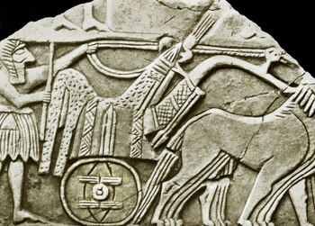 El eje con rueda más