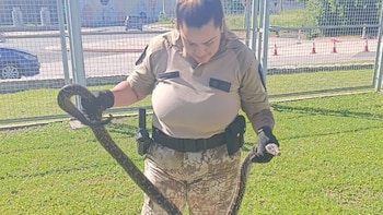 Impactante hallazgo en Córdoba: encontraron